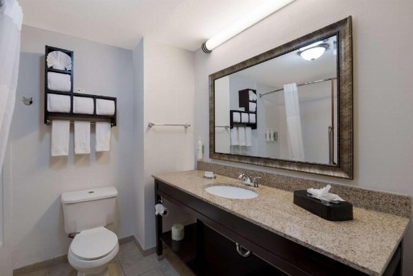 Hampton Inn By Hilton Marshall image 26